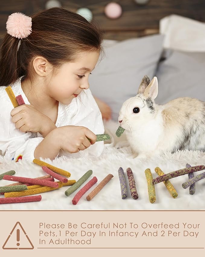 Bissap 72 PCS Rabbit Chew Sticks, Natural Timothy Hay Pumpkin Sugar Beet Carrot Strawberry Rose Dahlberg Daisy Forget-me-not Flower Treat for Bunny Chinchilla Guinea Pig Hamster Small Pet Molar Snack-PawvioPets