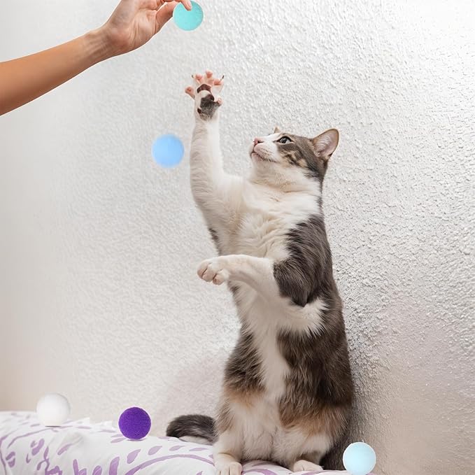 60 Pcs Cat Toy Balls 1-inch Colorful Cat Pom Pom Balls Soft Interactive Cat Balls Cat Play Toy Cat Exercise Toys Cats Interactive Playing Quiet Ball Fuzzy Kitten Ball for Cat Pet-PawvioPets