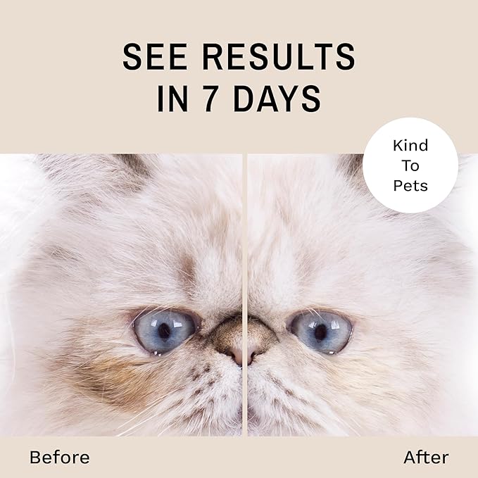Eye Envy Tear Stain Remover Solution for Cats. 100% Natural, Safe. Treats The Cause of Stains. Recommended by Breeders, Vets, Groomers. Remove Eye Stains from Persians and Exotics. 2 oz. Made in USA-PawvioPets