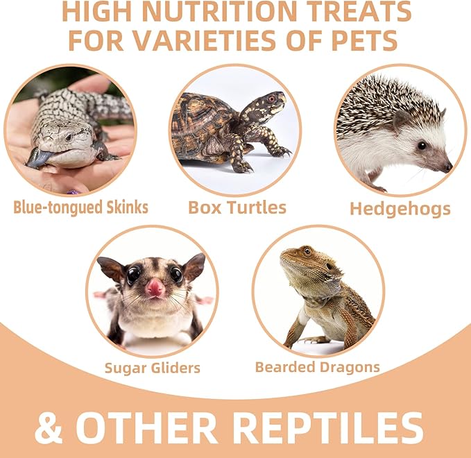 Freeze Dried Crickets – 2.8 Oz High Protein Freeze Dried Crickets, Food for Reptiles, Bearded Dragons, Lizards, Geckos, Birds, Fish,Hedgehogs, Bearded Dragon Food-PawvioPets