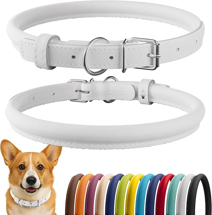 CollarDirect Rolled Leather Dog Collar, Soft Padded Round Puppy Collar, Handmade Genuine Leather Collar Dog Small Large Cat Collars 13 Colors (11-14 Inch, White Smooth)-PawvioPets