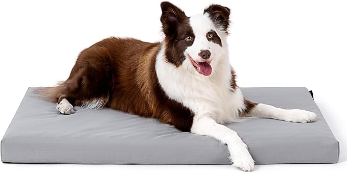 Cybarmour Indestructible Dog Bed - Outdoor Waterproof Chew Proof Dog Crate Pad - Orthopedic Kennel Mat for Aggressive Chewers - Large Breeds & Fits 36-Inch Crate - 35"x22", Limestone-PawvioPets