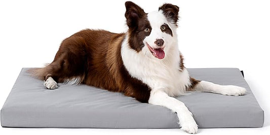 Cybarmour Indestructible Dog Bed - Outdoor Waterproof Chew Proof Dog Crate Pad - Orthopedic Kennel Mat for Aggressive Chewers - Large Breeds & Fits 36-Inch Crate - 35"x22", Limestone-PawvioPets