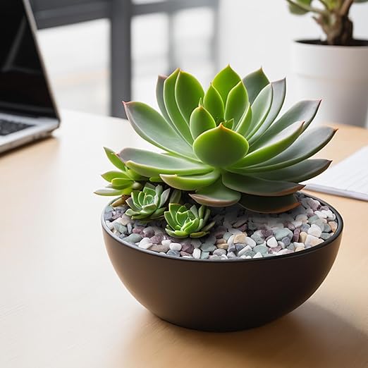 5 lbs Natural Pea Gravel Pebbles for Aquarium, Fish Tank, 3/8 inch Decorative Pebbles for Indoor Plants, Succulent, Bamboo, Vase, Drainage Rocks for Potted Plants, Top Dressing, Mixed Color-PawvioPets