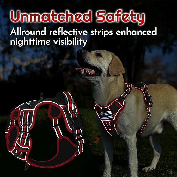 Eagloo Dog Harness Small Sized, Easy Wearing with 3 Buckles, Adjustable No Pull Pet Harness with 2 Rings for Walking, No Chock Reflective Soft Padded Vest with Control Handle, Black & Red, S-PawvioPets
