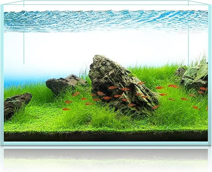15 Gallon Rimless Aquarium, Ultra Clear Glass Low Iron Rectangular Fish Tank L19.6×W13×H13.8 Inches Thickness 6mm with EVA Foam Mat Included-PawvioPets