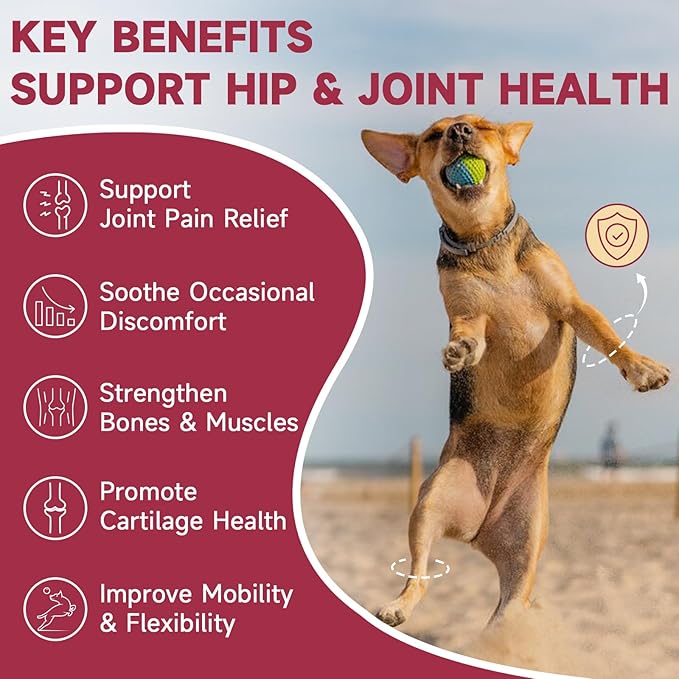 Glucosamine for Dogs - Joint Supplement for Dogs with Chondroitin, MSM, Omega 3, Hemp, Turmeric for Dog Joint Pain Relief, Dog Joint Supplement with Calcium Support Cartilage & Bone Health, 180 Chews-PawvioPets