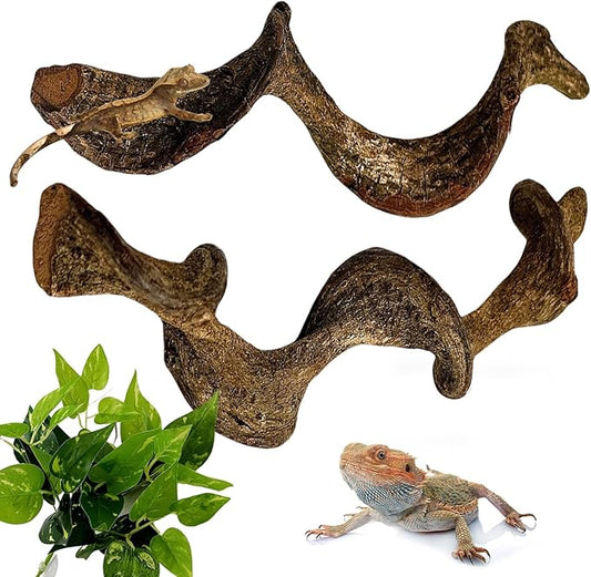BNOSDM 2Pcs Reptile Climbing Branches Decor,Snake Climbing Branch,Gecko Climb Wood,Lizard Forest Branch,Tank Habitat Tree Trunk Decorations for Bearded Dragons,Chameleons,Spider,Frogs (M)-PawvioPets