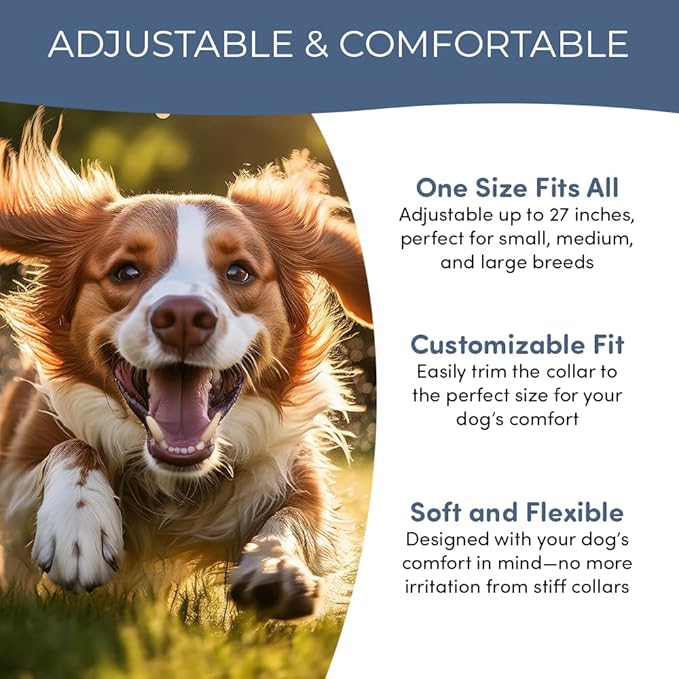 Flea and Tick Collar for Dogs, Cats – Natural Essential Oils – Long-Lasting 8 Month Protection – Waterproof, Adjustable – Safe for Puppies, Kittens, Sensitive Skin-PawvioPets