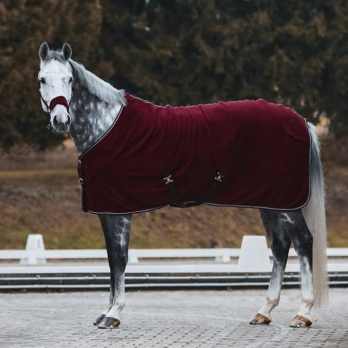 HORZE Kiel Adjustable Horse Halter with Fleece Padding - Dark Red - Cob-PawvioPets