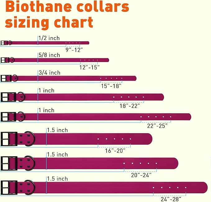 Dogline Biothane Waterproof Dog Collar Strong Coated Nylon Webbing with Black Hardware Odor- Proof for Easy Care Easy to Clean High Performance Fits Small Medium or Large Dogs, Magenta Pink-PawvioPets