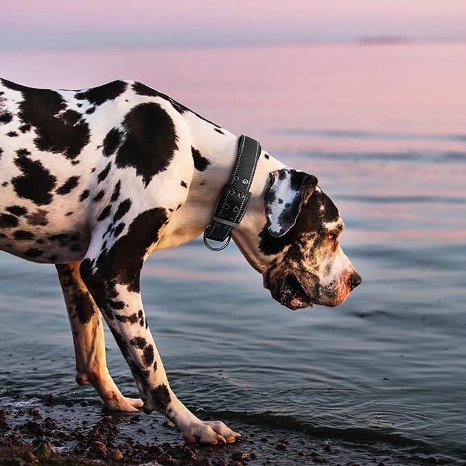 Fida Heavy Duty Dog Collar 1.5” Width, Ultra Soft Neoprene Padded, Adjustable Reflective Nylon Pet Collar with Two Metal Pin Belt Buckle for Large/X-Large Breeds (XL, Black)-PawvioPets