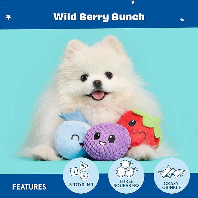 Barkbox Wild Berry Bunch Multi Part Toy for Dogs and Puppies - Small Breeds-PawvioPets
