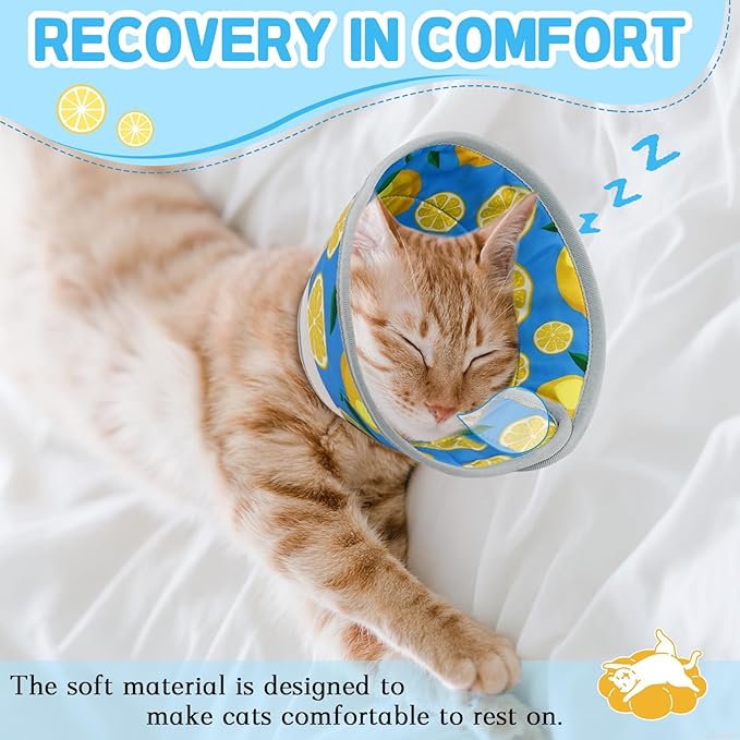 Cat Cone Collar Soft, Comfortable Cat Recovery Collar Pet Cone for Small Large Cats, Lightweight Elizabethan Collar for Cats Kittens After Surgery Prevent from Licking Wounds, Green, S-PawvioPets