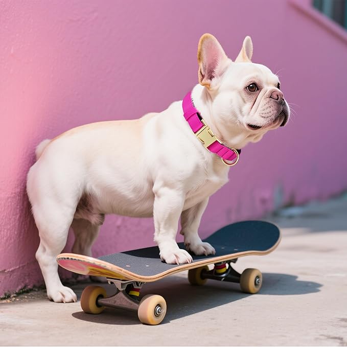 Didog Soft Padded Dog Collar for Large Dogs, Colorful and Durable Pet Collar with Quick Release Buckle, Light and Breathable for Daily Walking, Rose Purple, L-PawvioPets