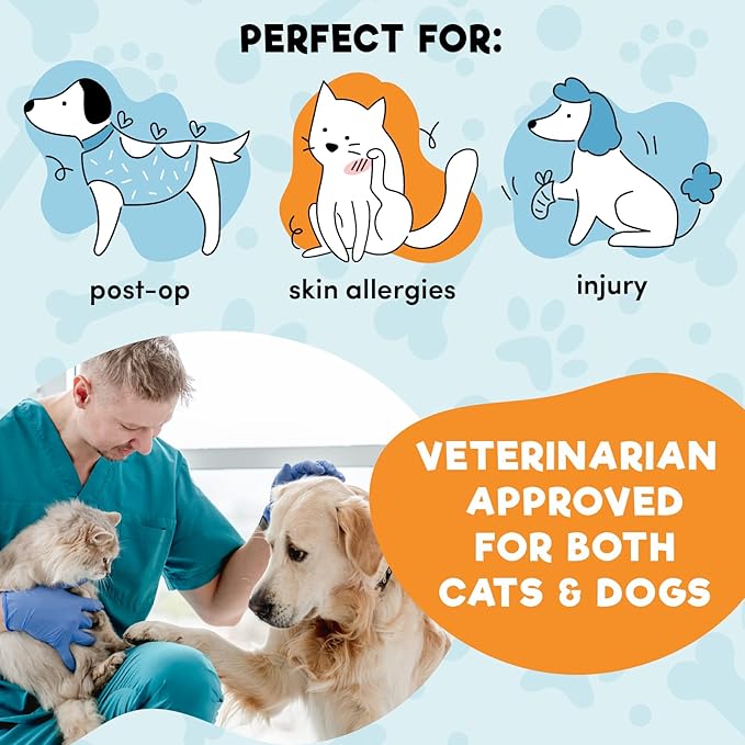 BENCMATE Inflatable Dog Cone Collar Alternative, Soft Dog Cone for Small Medium Large Dogs and Cats, Neck Recovery ECollar Donut Collar After Surgery (Large+, Blue)-PawvioPets