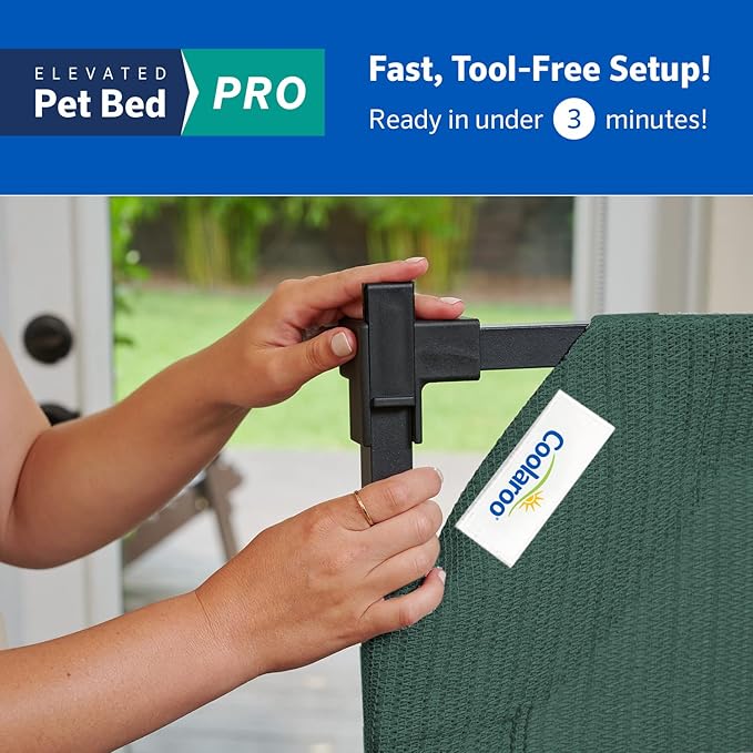 Coolaroo Pro Elevated Dog Bed - Low-Profile Access, Moisture-Resistant Cover, Breathable Fabric & Tool-Free Setup, Brunswick Green, Standard-PawvioPets