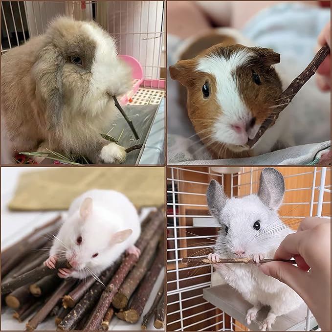 Coconut Hamster Hideout Hamster House Gerbil Cage for Small Animals with a Bundle of Apple Sticks a Carrot (Brown)-PawvioPets