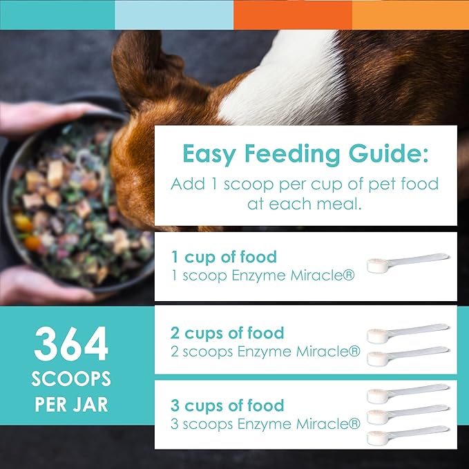 Digestive Enzymes for Dogs & Cats : Protein, Carbs, Starches & Fats Digestion : Supports Diet Change : Enzyme Miracle (364 Scoops, Powder)-PawvioPets