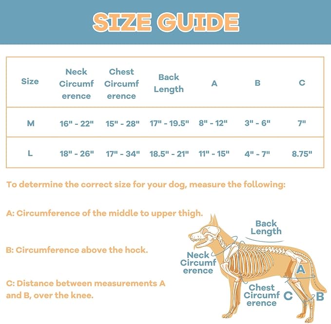 Dog Knee Brace with Adjustable Support – ACL & CCL Tear Recovery, Post-Surgery Stabilization, Mobility Aid for Rear Legs – Includes Secure Chest Harness for Dogs(Both Legs,L)-PawvioPets