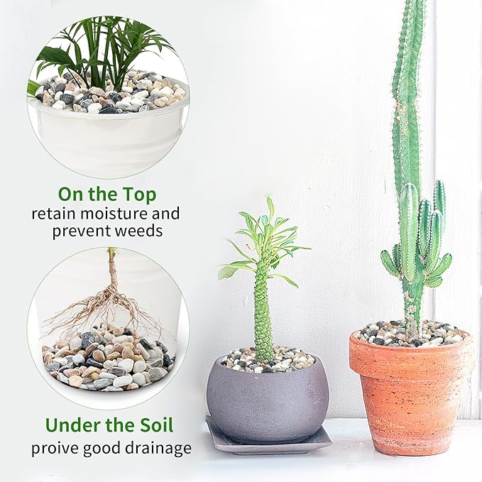 2 lbs Succulent and Cactus Pebbles Gravel, 3/8 Inch Mixed Color Decorative River Rocks for Plants Indoor, Vases, Terrarium, Potted Top Dressing and Outdoor Decorative Stones-PawvioPets