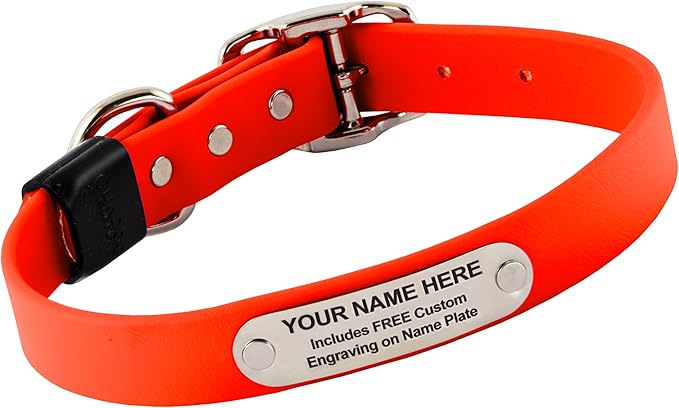 Biothane Custom Dog Collar – Waterproof, Stink-Proof Personalized Collar with Name & Phone Number – Durable, Many Sizes and Colors – Assembled in USA (Hunter Orange)-PawvioPets