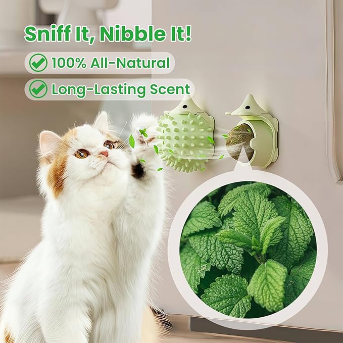 6 Pcs Catnip Ball Toys with Rubbing Shell, Lickable Roller Catnip Toys for Cats Chew, Edible and Refillable Kitten Toys, Teeth Cleaning Dental Indoor Cat Treats Toys, 3 Shells 6 Balls-PawvioPets