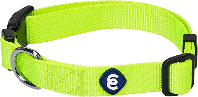 Blueberry Pet Essentials Matching Adjustable & Durable Classic Solid Color Nylon Dog Collars for Medium Dogs | Highlighter Yellow Collar Medium Girl and Boy Dogs for Pet Owner-PawvioPets