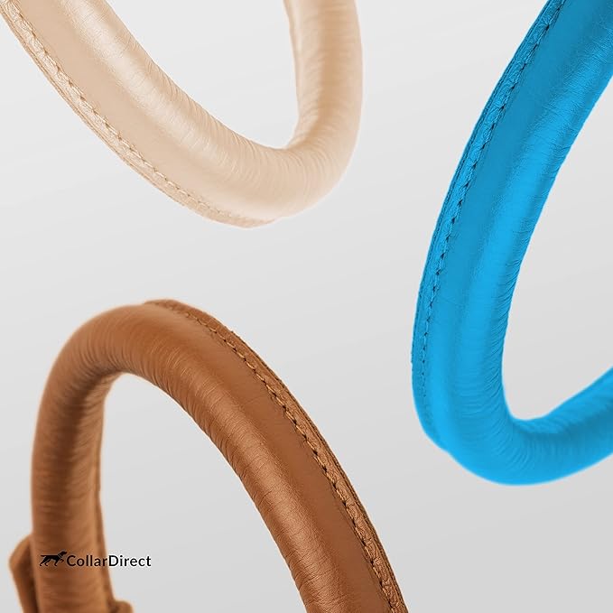 CollarDirect Rolled Leather Dog Collar, Soft Padded Round Puppy Collar, Handmade Genuine Leather Collar Dog Small Large Cat Collars 13 Colors (11-14 Inch, Light Blue Textured)-PawvioPets