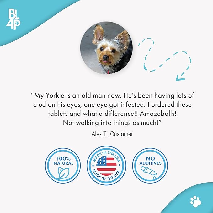 Dog Eye Care & Infection Treatment, Natural Dog Supplements for Conjunctivitis, Swelling, Dry Eyes and Discharge, Easy to Use, No More Struggle with Canine Drops, 400 Small Pills-PawvioPets