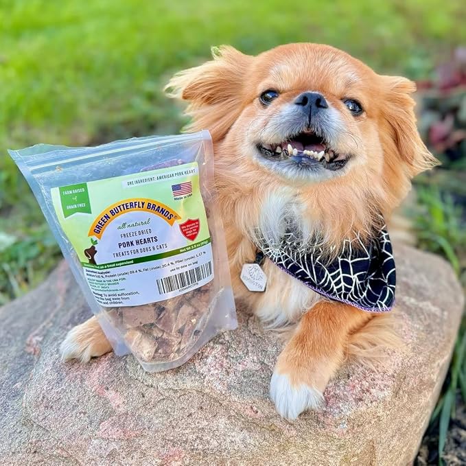 Freeze Dried Pork Heart Dog Treats Made in USA. All Natural Freeze-Dried Raw Snacks for Dogs and Cats. Single Ingredient. High Protein, Heart Health, Irresistible Training Treat-PawvioPets