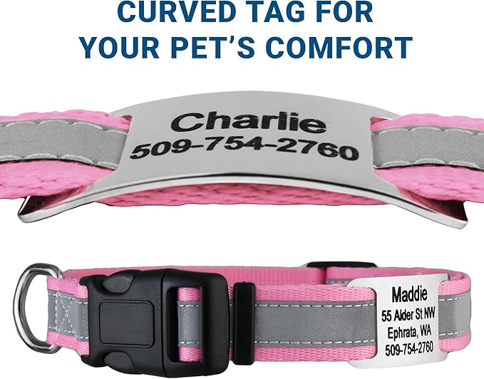 GoTags Reflective Personalized Dog Collar with Nameplate, Adjustable Dog Collar with Custom Engraved Steel Slide On Pet ID Tag, Silent, No Noise Dog Tag for Large Medium or Small (Pink, Medium)-PawvioPets