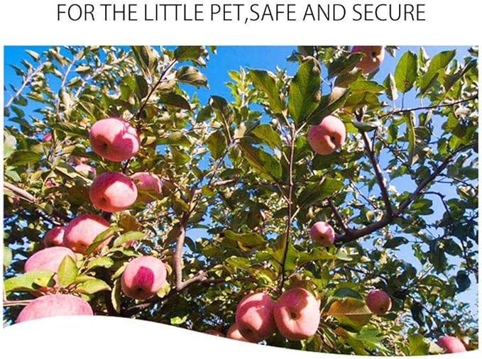 Bunny Chew Toys for Teeth, Organic Apple Wood Molar Sticks with Timothy Hay Circles for Bunny Chinchilla Guinea Pig Hamsters Holland Lop Prairie Dogs Squirrels Gerbils, Improves Dental Health-PawvioPets