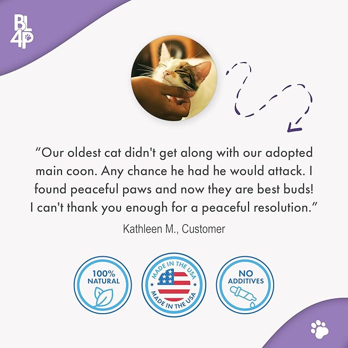 Anti Aggression for Cats Calming Remedy, A Natural Diffuser and Cat Calming Aid for Stress, Spiteful Spraying, Scratching & Territorial Behavior, Non-Drowsy, 400 Odorless, Tasteless Pills-PawvioPets