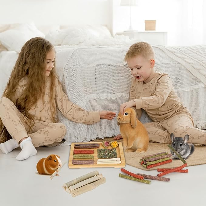 65PCS Rabbit Bunny Guinea Pig Chew Toys Treats, Chinchilla Hamster Chews Toys for Teeth, Timothy Hay Chips Treats Sticks for Rabbit Guinea Pig Chinchilla Hamster Rat-PawvioPets