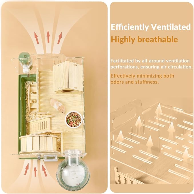 Cycodo 8 in 1 Acrylic Hamster Cage,2-Tier Dwarf Hamster Cage with Wooden Wheel & Hideout,Small Hamster Habitat with Accessories,Clear Pet Mice House(Green,14" L*10" W*11" H)-PawvioPets