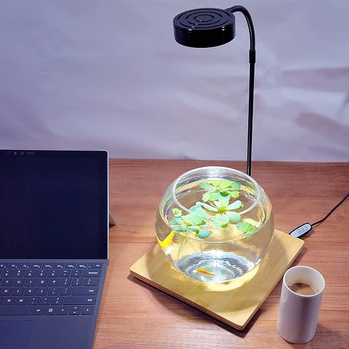 Aquarium Light Full Spectrum LED, for Under 3 Gallon Fish Tank, Light with Timer Auto On/Off, Betta Fish Tank,Indoor Plant Growth, Potted Plants, Succulent, Miniature Gardening Landscape (5)-PawvioPets