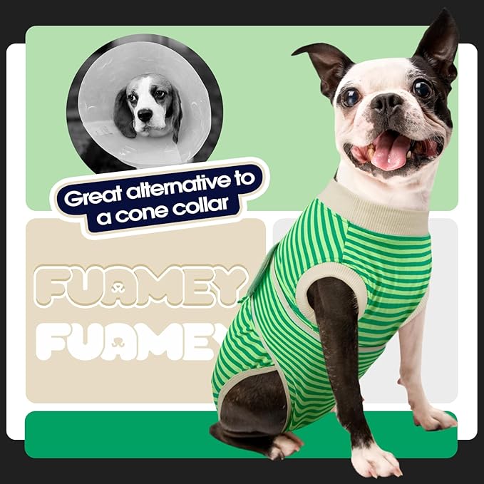 FUAMEY Dog Recovery Suit Male,Dogs Surgery Neuter Suits Puppy Spay Shirts for Female Protect Dog's Skin Anti Licking Abdominal Wounds Doggie Onesie Pet Bodysuit Alternative to Cone Green Stripes XL-PawvioPets