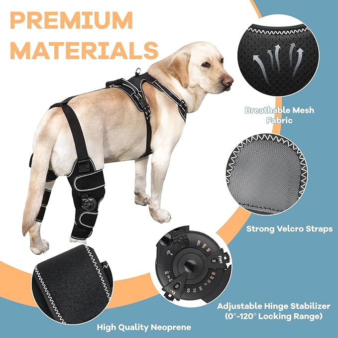 Dog Knee Brace with Adjustable Support – ACL & CCL Tear Recovery, Post-Surgery Stabilization, Mobility Aid for Rear Legs – Includes Secure Chest Harness for Dogs(Left,M)-PawvioPets