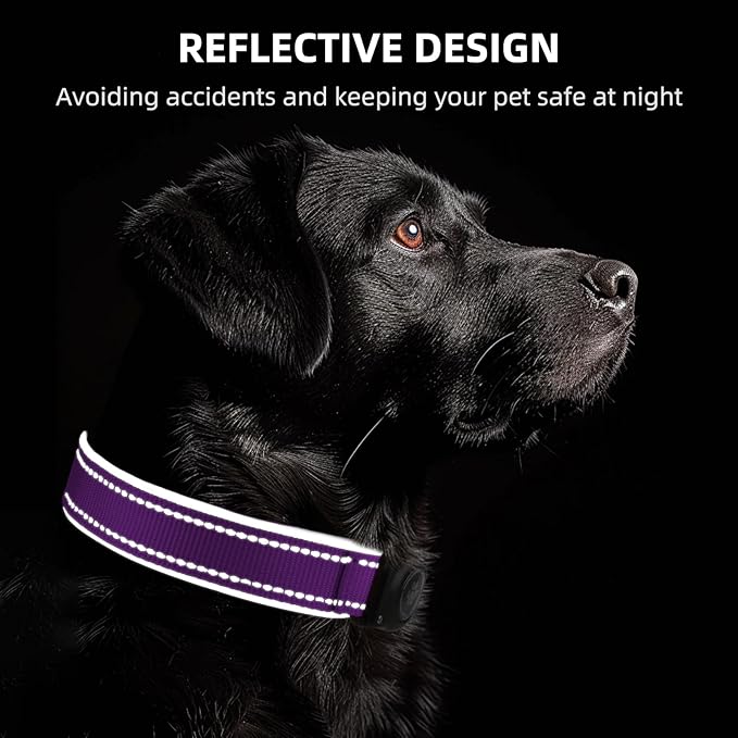 Airtag Dog Collar - 100% Waterproof Air tag Dog Collar Holder for Apple AirTag, Reflective, Soft Padded, Everlasting, GPS Dog Collar for Small Medium Large Dogs (Purple, M)-PawvioPets