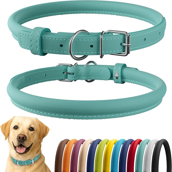 CollarDirect Rolled Leather Dog Collar, Soft Padded Round Puppy Collar, Handmade Genuine Leather Collar Dog Small Large Cat Collars 13 Colors (18-22 Inch, Mint Green Smooth)-PawvioPets