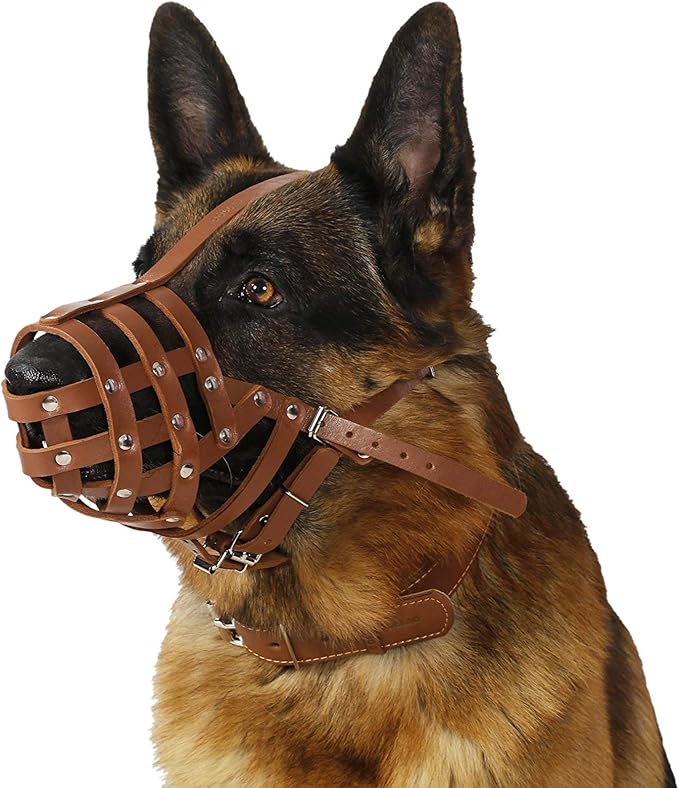 CollarDirect Dog Muzzle German Shepherd Dalmatian Doberman Setter Leather Basket Medium Large Breeds (Chestnut Brown, Large)-PawvioPets