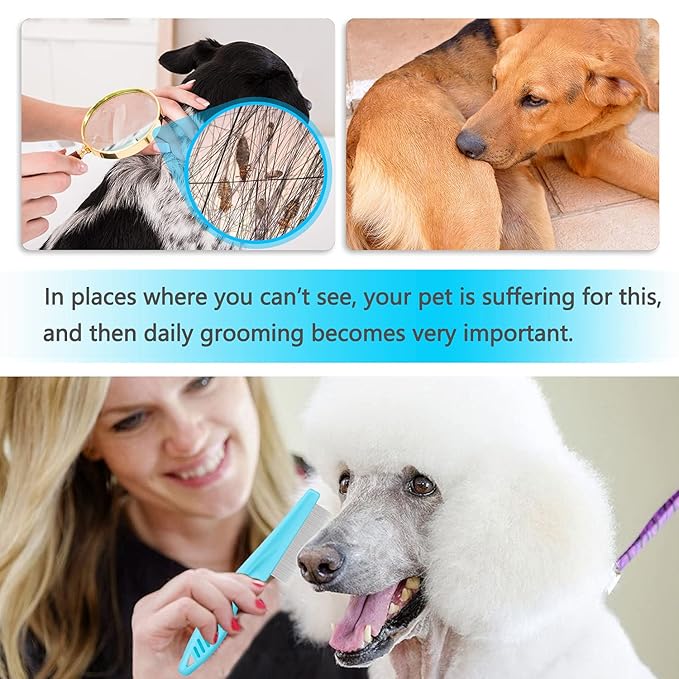 Cat & Dog Grooming Set - Fine Tooth Comb for Removing Dandruff Flakes & Hair (Blue)-PawvioPets