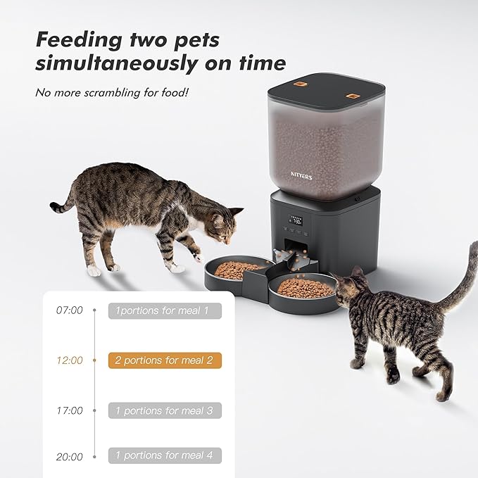 Automatic Cat Feeder for 2 Cats - 8L/34 Cups Large Capacity Auto Cat Food Dispenser with LCD Screen, 2 Food Trays, Timed Feeder, Up to 50 Portions 6 Meals Per Day, Keep Fresh-PawvioPets