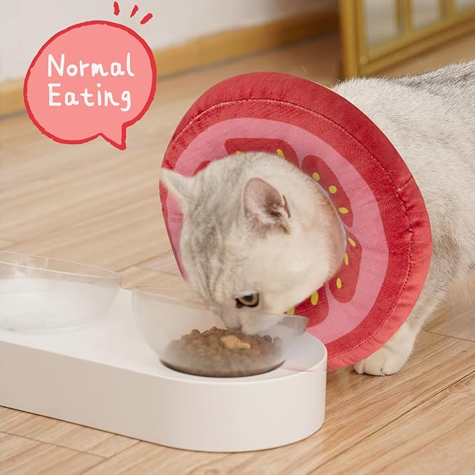 ANWA Adjustable Cat Cone Collar Soft, Cute Cat Donut Collar After Surgery, Kitten Recovery Cones to Stop Licking-PawvioPets
