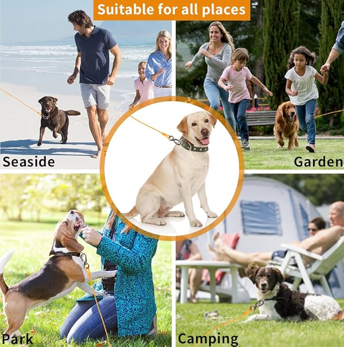 Dog tie Out Cable, 10/20/25/30/50/70/100 feet, Suitable for Dogs up to 350 pounds, Dog Cable with Swivel Buckle, Lightweight, Non-Winding, for Outdoor Camping, Yard Dog Cable (Orange, 70FT)-PawvioPets