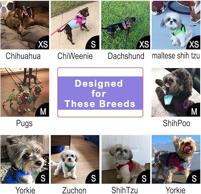 Comfort Fit Dog Harness No Pull No Escape Harness Adjustable Buckles Soft Padded Reflective Choke Step in Dog Vest with Easy Control Handle for Small Medium Large Dogs & Puppies-PawvioPets