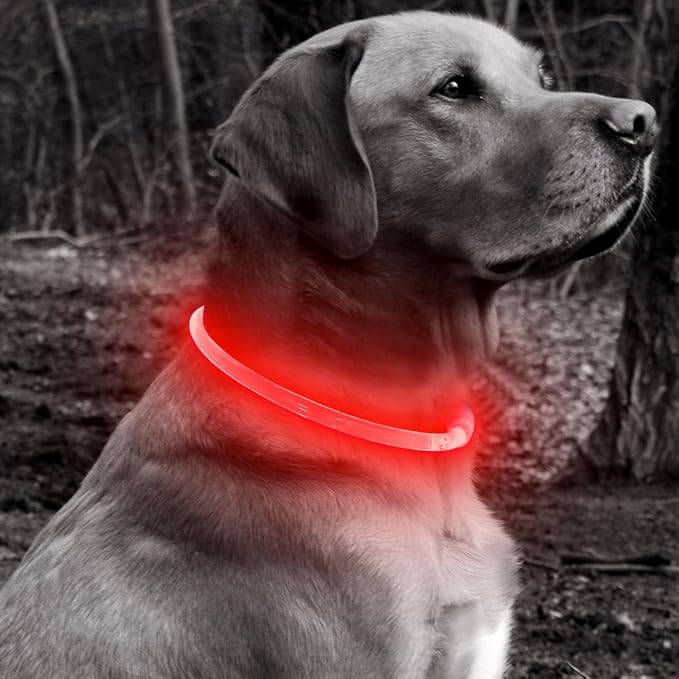 BSEEN Light Up Dog Collar - Rechargeable LED Dog Collar - 360° Glow in The Dark Pet Collar for Small Medium Large Dogs, TPU Cuttable Puppy Collar Safety Dog Lights for Night Walking (Red 70cm)-PawvioPets