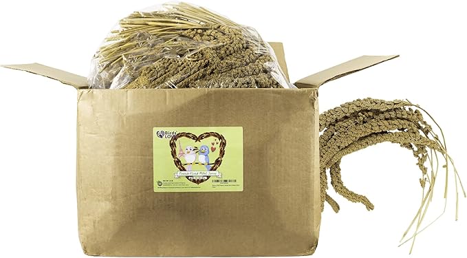 Birds LOVE French Kissed Spray Millet for Birds - Parakeets, Cockatiels, Lovebirds, Finches, Budgies, Canaries, Cockatoos - Natural & Healthy Bird Millet - Parakeet Food & Treats for all Parrots 25lbs-PawvioPets