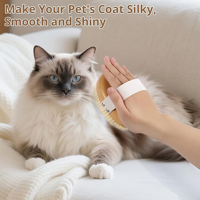 Boar Bristle Cat Brush for Indoor Cats, Cat Hair Brush Gentle Grooming, Reduce Shedding, Soft Hair and Healthy Shine, Bamboo Handheld with Soft Boar Bristles and Band for Short Haired Cats Dogs-PawvioPets